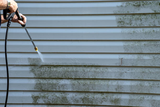 Best Aluminum Siding Installation  in Adams, WI